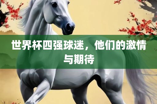 世界杯四强球迷，他们的激情与期待