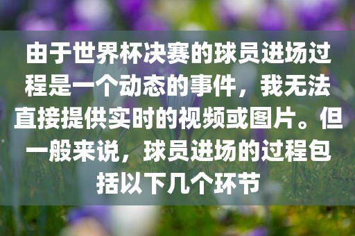 由于世界杯决赛的球员进场过程是一个动态的事件，我无法直接提供实时的视频或图片。但一般来说，球员进场的过程包括以下几个环节眉山市正发家政服务有限公司