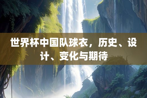世眉山市正发家政服务有限公司界杯中国队球衣，历史、设计、变化与期待
