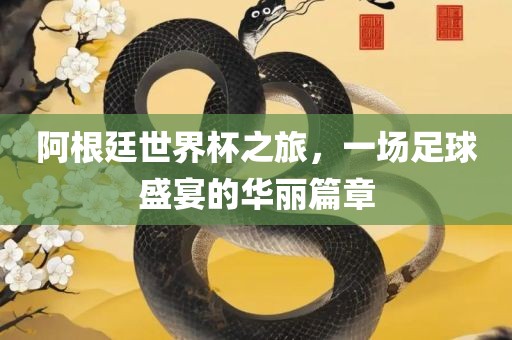 阿根廷世界杯之旅，一场足球盛宴的华丽篇章