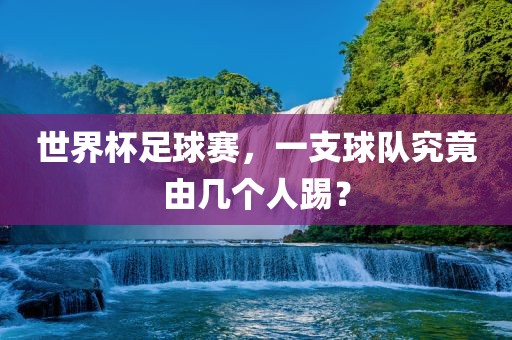 世界杯足球赛，一支球队究竟由几个人踢？眉山市正发家政服务有限公司