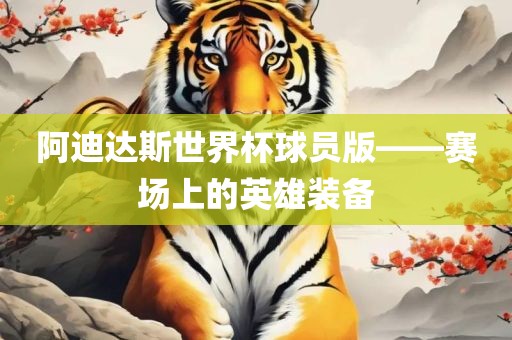 阿迪达斯世界杯球员版——眉山市正发家政服务有限公司赛场上的英雄装备