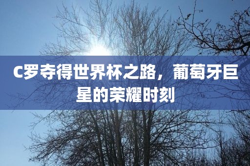 C罗眉山市正发家政服务有限公司夺得世界杯之路，葡萄牙巨星的荣耀时刻