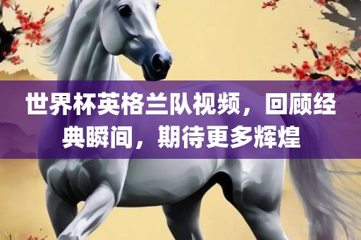 世界杯英格兰队视频，回顾经典瞬间，期待更多辉煌