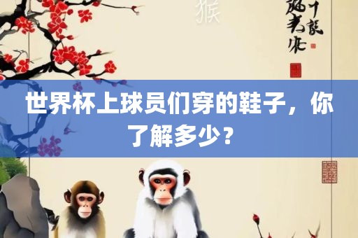 世界杯上球员们穿的鞋子，你了解多少？眉山市正发家政服务有限公司