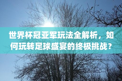 世界杯冠亚军玩法全解析，如何玩转足球盛宴的终极挑战？眉山市正发家政服务有限公司
