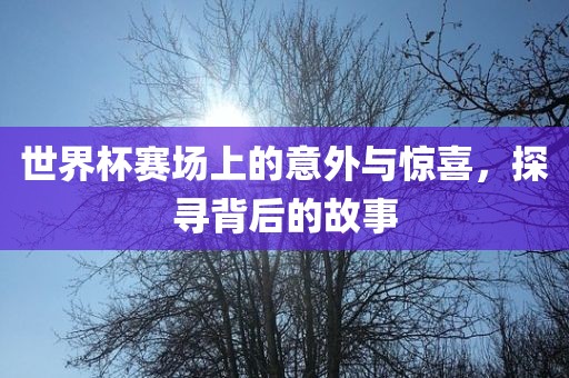 世界杯赛场上的意外与惊喜，眉山市正发家政服务有限公司探寻背后的故事