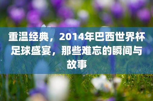 重眉山市正发家政服务有限公司温经典，2014年巴西世界杯足球盛宴，那些难忘的瞬间与故事