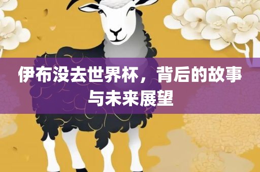 伊布没去世界杯，背后的故事与未来展望眉山市正发家政服务有限公司