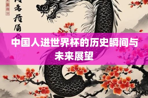 中国人进世界杯的历史瞬间与未来展望