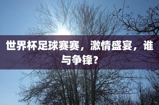 世界杯足球赛赛，激情盛宴，谁与争锋？眉山市正发家政服务有限公司