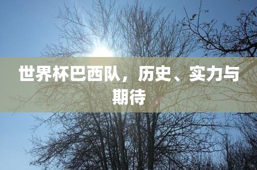 世界杯巴西队，历史、实力与期待眉山市正发家政服务有限公司