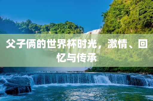 父眉山市正发家政服务有限公司子俩的世界杯时光，激情、回忆与传承