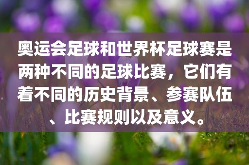 世界杯足球赛 第4页