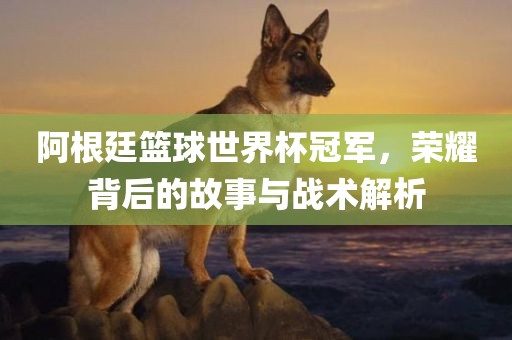 阿根廷篮球世界杯冠军，荣耀背后的故事与战术解析