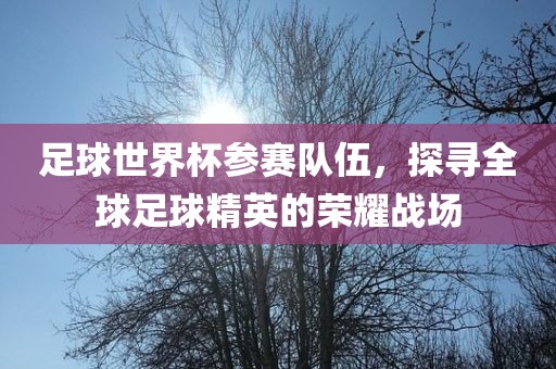 足球世界杯参赛队伍，探寻眉山市正发家政服务有限公司全球足球精英的荣耀战场