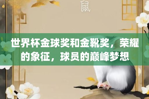 世界杯金球奖和金靴奖，荣耀的象征，球员的巅峰梦想