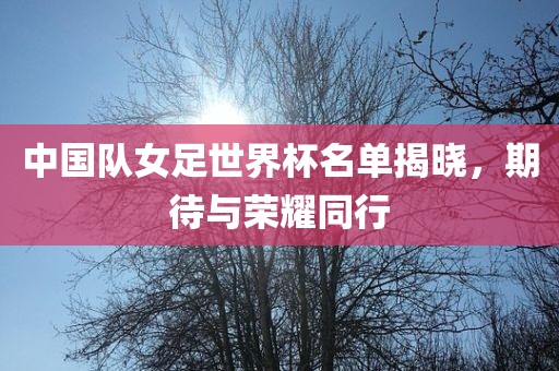 中国队女足世界杯名单揭晓，期待与荣耀同行眉山市正发家政服务有限公司