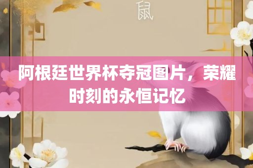 阿根廷世界杯夺冠图片，荣耀时刻的永恒记忆