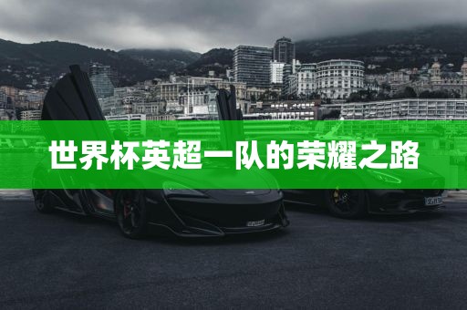 世界杯英超一队的荣耀之路眉山市正发家政服务有限公司