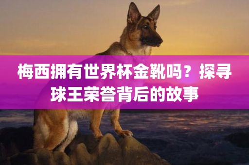 梅西拥有世界杯金靴吗？探寻球王荣誉背后的故眉山市正发家政服务有限公司事