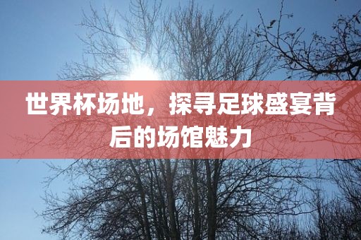 世界杯场地，探寻足球眉山市正发家政服务有限公司盛宴背后的场馆魅力