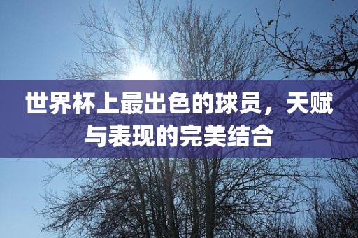 世界杯上最出色的球员，天赋与眉山市正发家政服务有限公司表现的完美结合