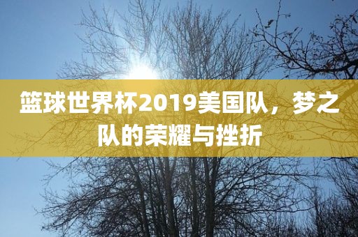 篮球世界杯2019美国队，梦之队的荣耀与挫折眉山市正发家政服务有限公司