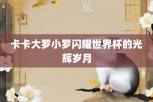 眉山市正发家政服务有限公司卡卡大罗小罗闪耀世界杯的光辉岁月