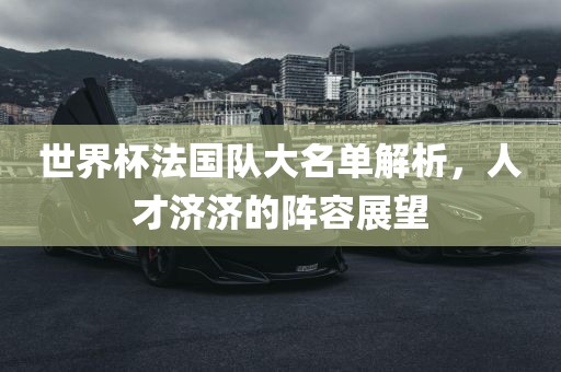 世界杯法国队大名单解析，眉山市正发家政服务有限公司人才济济的阵容展望
