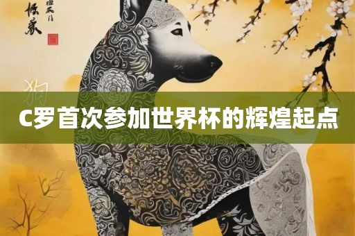 C罗首次参加世界杯的辉煌起点