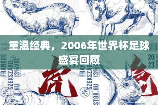 重温经典，2006年世界杯足球盛宴回顾眉山市正发家政服务有限公司