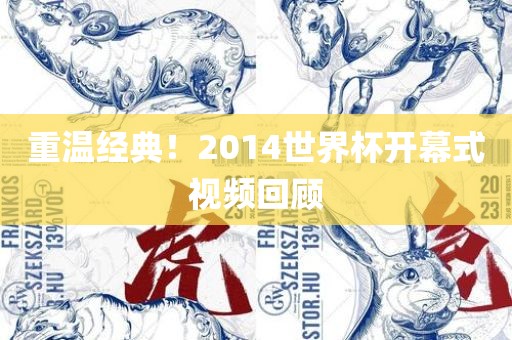 重温经典！2014世界杯开幕式视频回顾眉山市正发家政服务有限公司