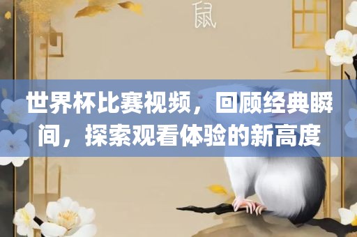 世界杯比赛视频，回顾经典瞬间，探索观看体验的新高度眉山市正发家政服务有限公司