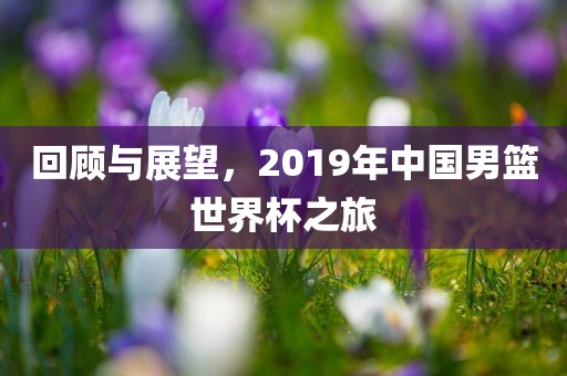 回顾与展望，2019年中国男篮世界杯之旅