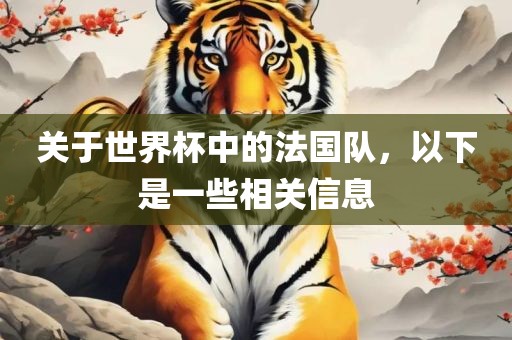 关于世界杯中的法国队，以下是一些相关信息眉山市正发家政服务有限公司