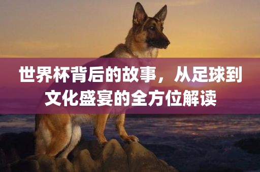 世界杯背后的故事，从足球到文化盛宴的全方位解读