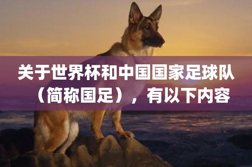 关于世界杯和中国国家足球队眉山市正发家政服务有限公司（简称国足），有以下内容