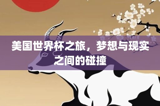 美国世界杯之旅，梦想与现实之间的碰撞