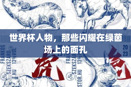 世界杯人物，那些闪耀在绿茵场上的面孔眉山市正发家政服务有限公司