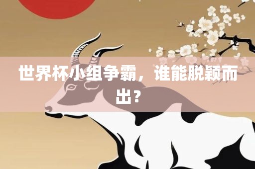 世界杯小组争霸，谁能脱颖而出？