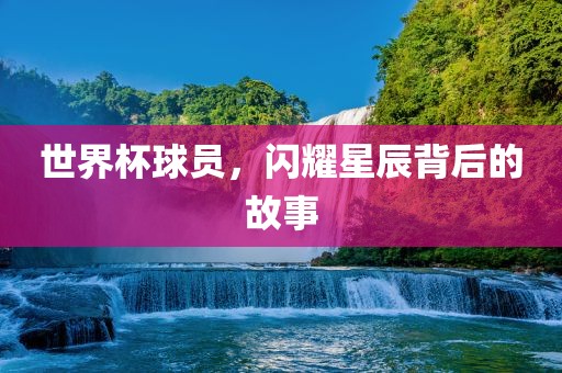 世界眉山市正发家政服务有限公司杯球员，闪耀星辰背后的故事