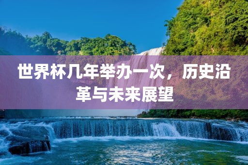 世界杯几年举办一次，历史沿革与未来展望眉山市正发家政服务有限公司