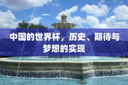中国的世界杯，历史、期待与梦想的实现眉山市正发家政服务有限公司