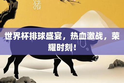 世界杯排球盛宴，热血激战，荣耀时刻！