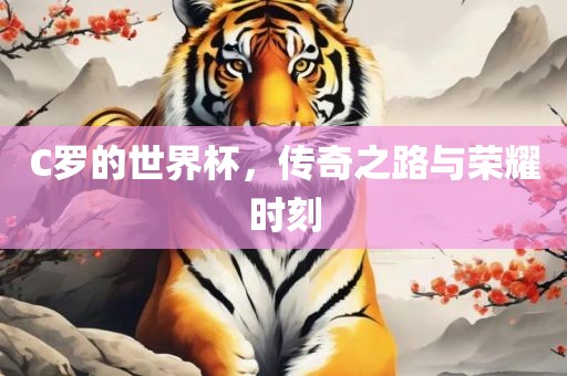 C罗的世界杯，传奇之路与荣耀时刻