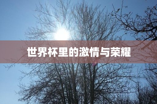 世界杯眉山市正发家政服务有限公司里的激情与荣耀
