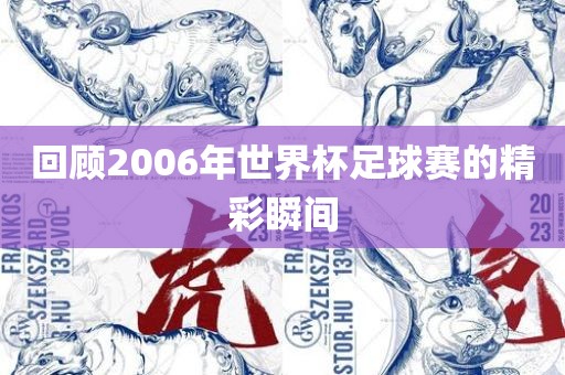 回顾2006年世界杯足球赛的精彩瞬间眉山市正发家政服务有限公司