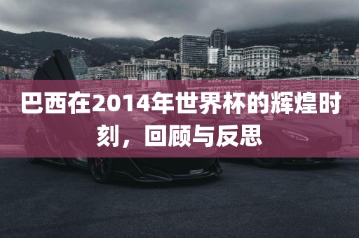 巴西在2014年世界杯的辉煌时刻，回顾与反思眉山市正发家政服务有限公司