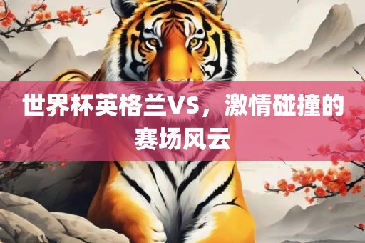 世界杯英格兰VS，激情碰撞的赛场风云
